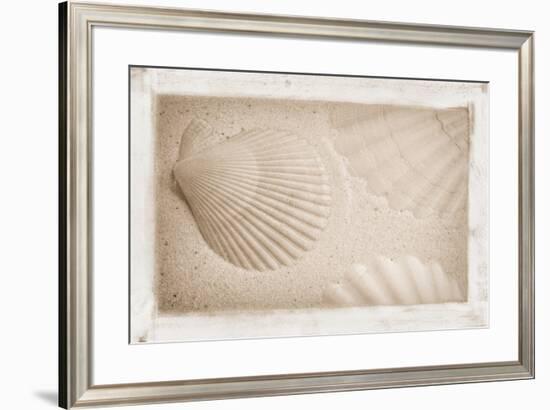 White Shells and Sand-Cora Niele-Framed Giclee Print