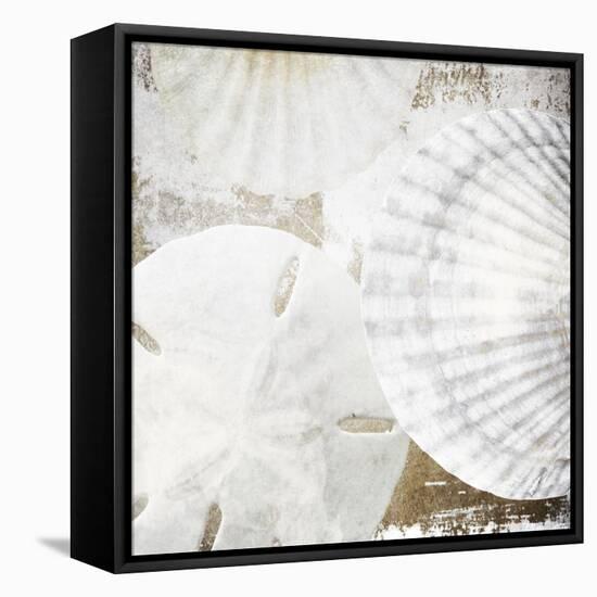 White Shells II-Irena Orlov-Framed Stretched Canvas