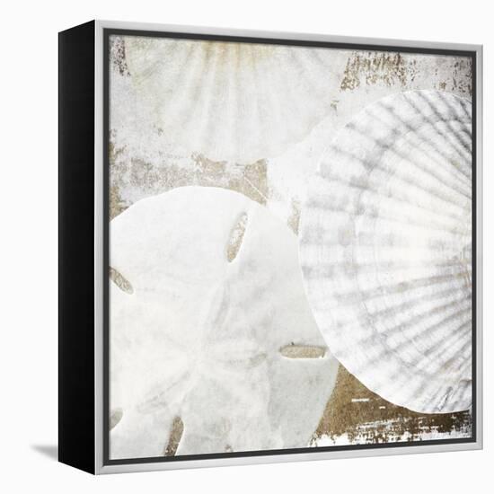 White Shells II-Irena Orlov-Framed Stretched Canvas