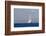 White Ship On The Ocean, 2018-null-Framed Photographic Print