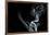 White Smoke Rising On Black Background-Ambient Ideas-Framed Premium Giclee Print