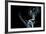 White Smoke Rising On Black Background-Ambient Ideas-Framed Art Print