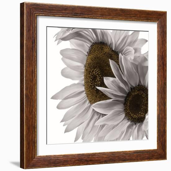 White Softness-Philippe Sainte-Laudy-Framed Photographic Print