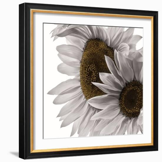 White Softness-Philippe Sainte-Laudy-Framed Photographic Print