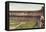 White Sox Ball Park, Chicago, Illinois-null-Framed Stretched Canvas