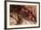 White Speckled Hermit Crab-Michele Westmorland-Framed Photographic Print