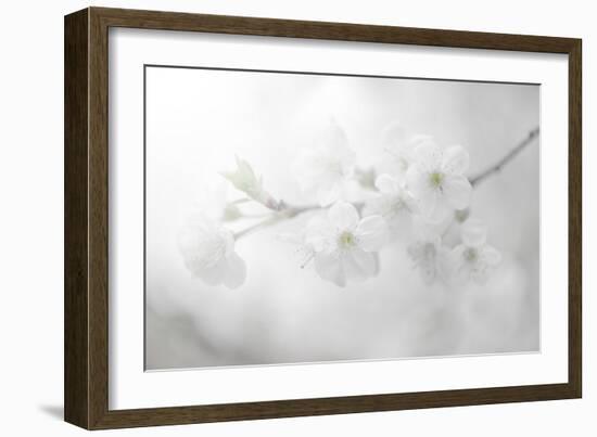 White Spirit and Positive Sensations-Philippe Sainte-Laudy-Framed Photographic Print