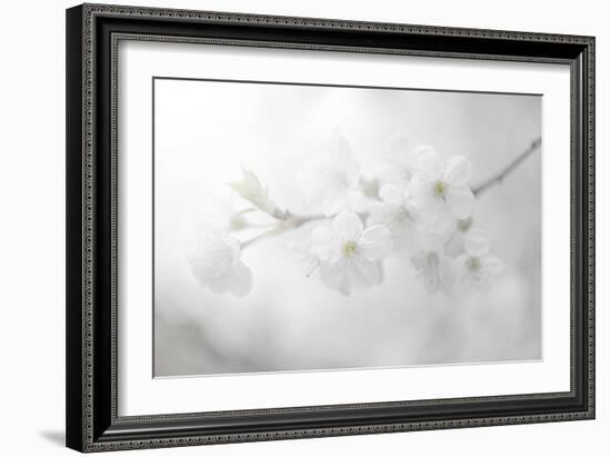 White Spirit and Positive Sensations-Philippe Sainte-Laudy-Framed Photographic Print