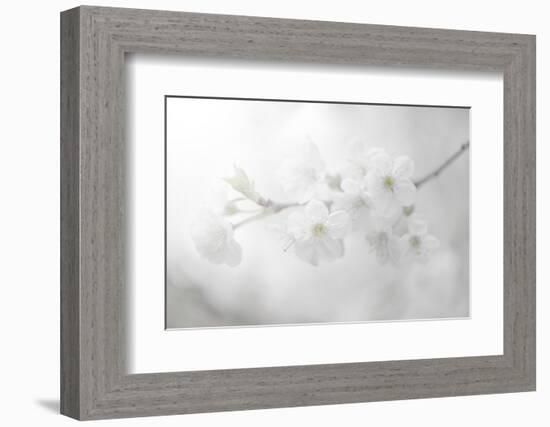 White Spirit and Positive Sensations-Philippe Sainte-Laudy-Framed Photographic Print