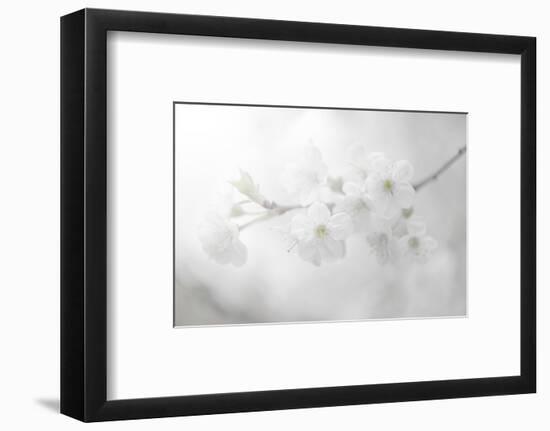 White Spirit and Positive Sensations-Philippe Sainte-Laudy-Framed Photographic Print