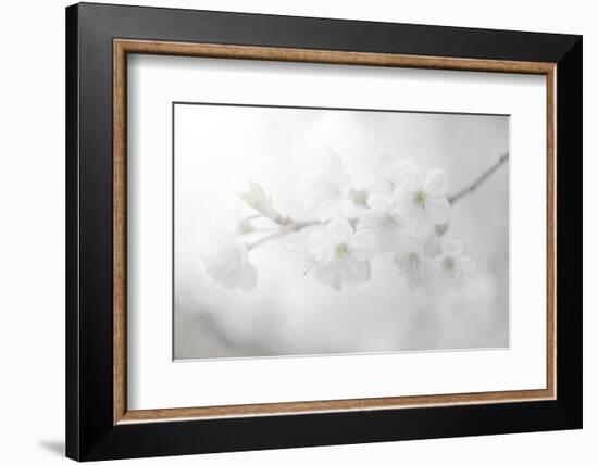 White Spirit and Positive Sensations-Philippe Sainte-Laudy-Framed Photographic Print