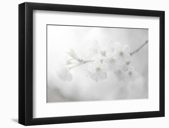 White Spirit and Positive Sensations-Philippe Sainte-Laudy-Framed Photographic Print