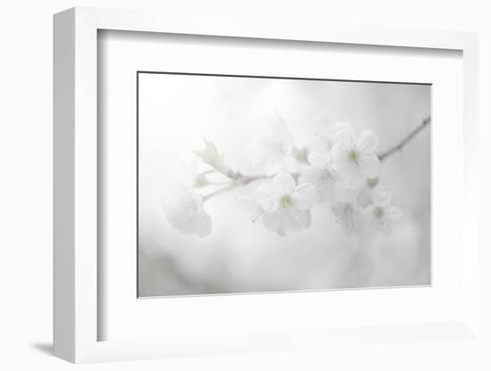 White Spirit and Positive Sensations-Philippe Sainte-Laudy-Framed Photographic Print