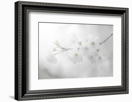 White Spirit and Positive Sensations-Philippe Sainte-Laudy-Framed Photographic Print