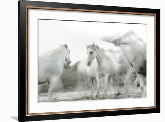 White Spirit-Valda Bailey-Framed Photographic Print