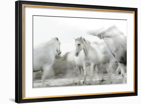 White Spirit-Valda Bailey-Framed Photographic Print