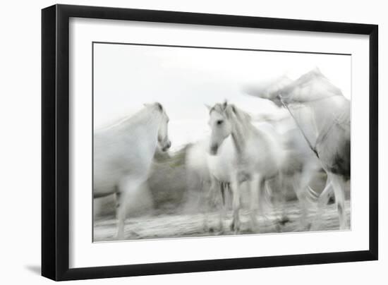 White Spirit-Valda Bailey-Framed Photographic Print