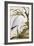 White Spoon Bill, 1750-1800-null-Framed Giclee Print