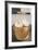 White Squashes in Woodchip Basket-Foodcollection-Framed Photographic Print