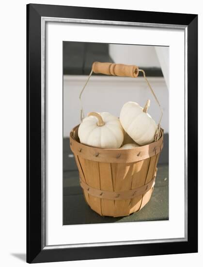 White Squashes in Woodchip Basket-Foodcollection-Framed Photographic Print