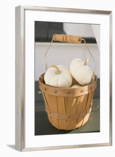 White Squashes in Woodchip Basket-Foodcollection-Framed Photographic Print