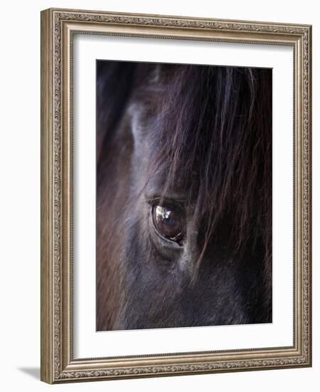 White Stallion Dude Ranch, Tucson, Arizona, USA-Julian McRoberts-Framed Photographic Print