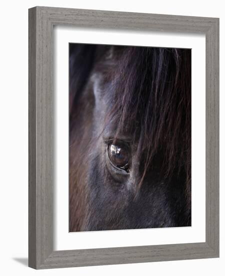 White Stallion Dude Ranch, Tucson, Arizona, USA-Julian McRoberts-Framed Photographic Print