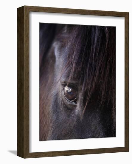 White Stallion Dude Ranch, Tucson, Arizona, USA-Julian McRoberts-Framed Photographic Print