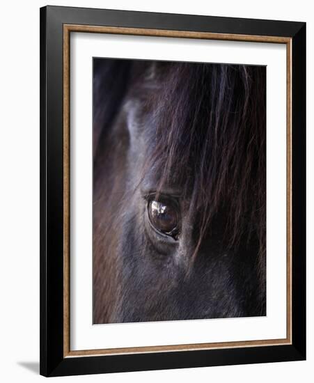 White Stallion Dude Ranch, Tucson, Arizona, USA-Julian McRoberts-Framed Photographic Print