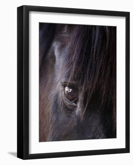 White Stallion Dude Ranch, Tucson, Arizona, USA-Julian McRoberts-Framed Photographic Print