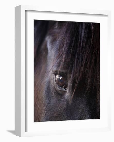 White Stallion Dude Ranch, Tucson, Arizona, USA-Julian McRoberts-Framed Photographic Print