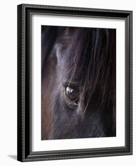 White Stallion Dude Ranch, Tucson, Arizona, USA-Julian McRoberts-Framed Photographic Print