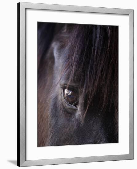 White Stallion Dude Ranch, Tucson, Arizona, USA-Julian McRoberts-Framed Photographic Print