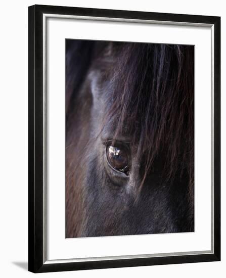 White Stallion Dude Ranch, Tucson, Arizona, USA-Julian McRoberts-Framed Photographic Print