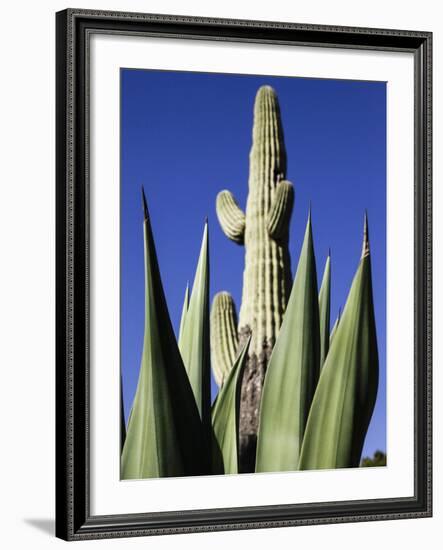 White Stallion Dude Ranch, Tucson, Arizona, USA-Julian McRoberts-Framed Photographic Print