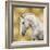 White Stallion on Gold-Martin Rose-Framed Art Print