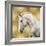 White Stallion on Gold-Martin Rose-Framed Art Print