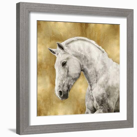 White Stallion on Gold-Martin Rose-Framed Art Print