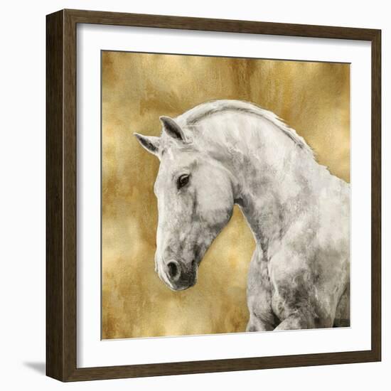 White Stallion on Gold-Martin Rose-Framed Art Print