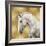 White Stallion on Gold-Martin Rose-Framed Art Print