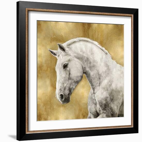 White Stallion on Gold-Martin Rose-Framed Art Print