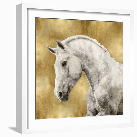 White Stallion on Gold-Martin Rose-Framed Art Print