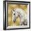 White Stallion on Gold-Martin Rose-Framed Art Print