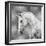 White Stallion on Silver-Martin Rose-Framed Art Print