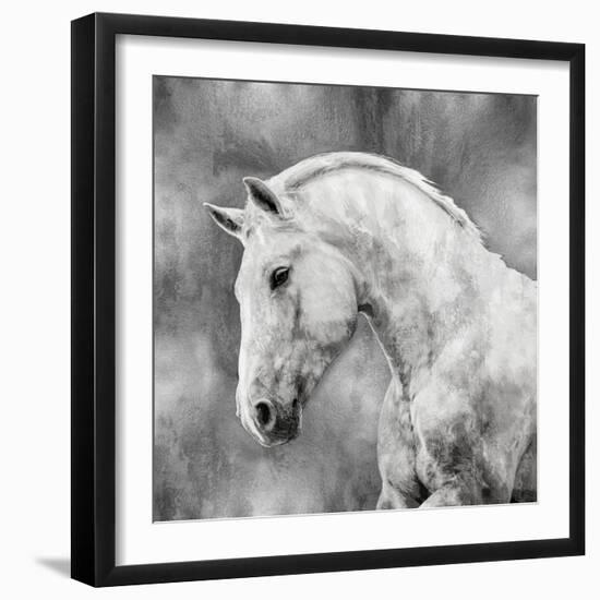 White Stallion on Silver-Martin Rose-Framed Art Print