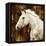 White Stallion-Martin Rose-Framed Stretched Canvas