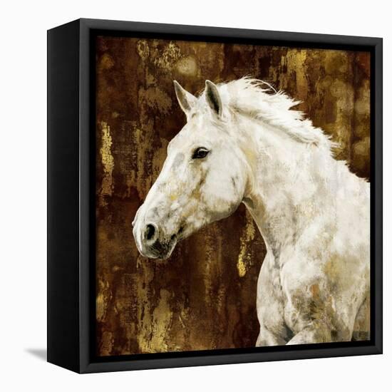 White Stallion-Martin Rose-Framed Stretched Canvas