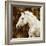 White Stallion-Martin Rose-Framed Art Print