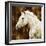 White Stallion-Martin Rose-Framed Art Print