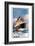 White Star Line-null-Framed Premium Giclee Print